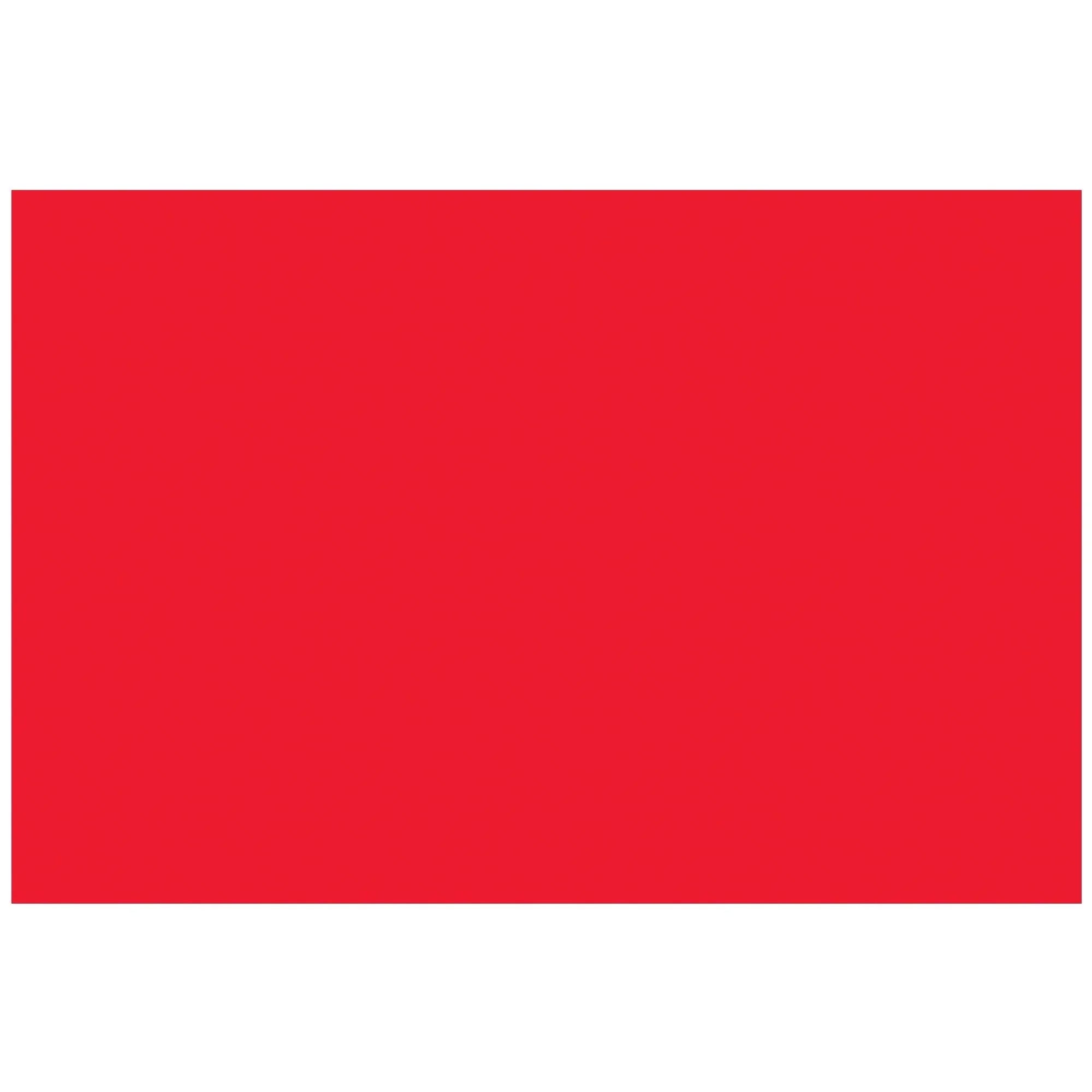 2 x 3" - Fluorescent Red Removable Rectangle Labels