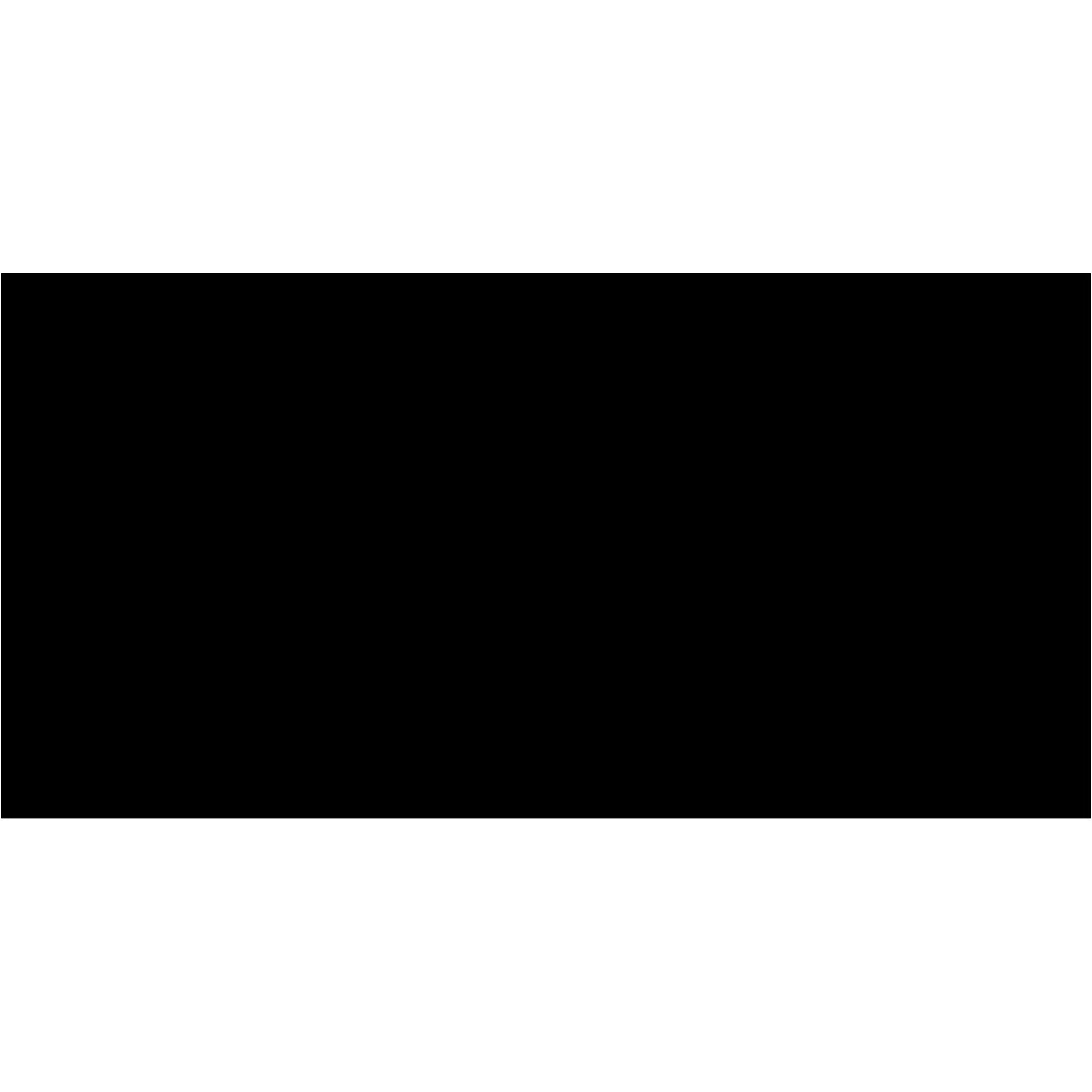 3 x 6" Black Inventory Rectangle Labels