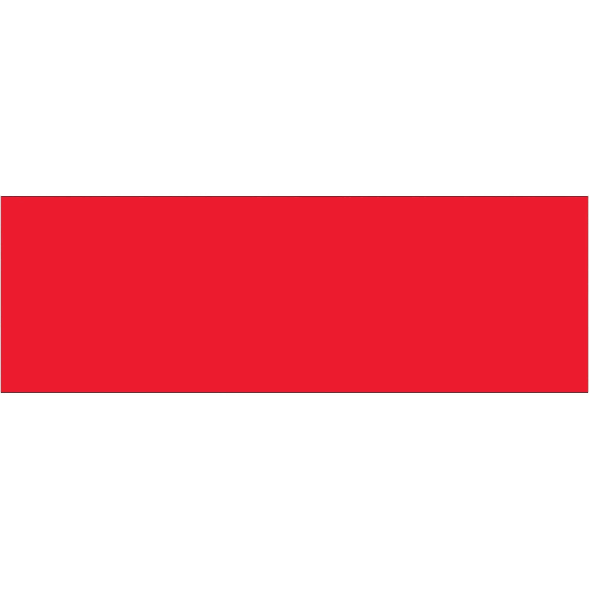 3 x 9" Fluorescent Red Inventory Rectangle Labels