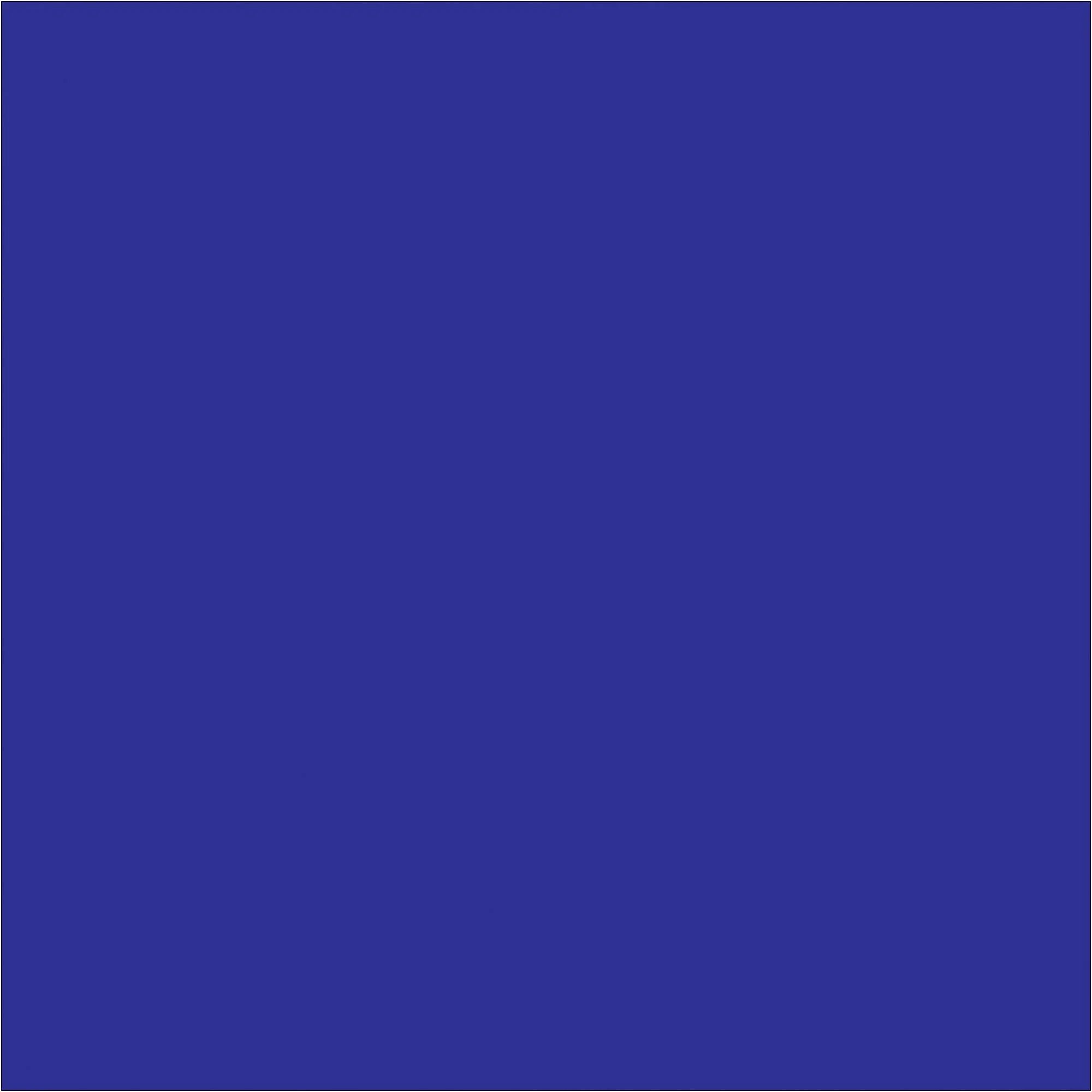 4 x 4" Dark Blue Inventory Rectangle Labels