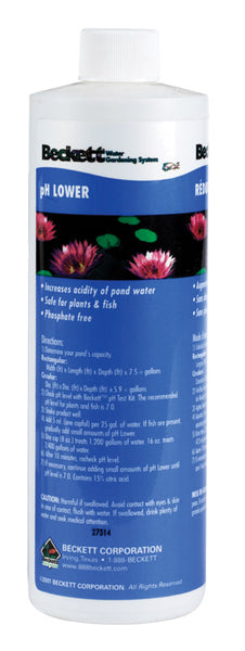 CHEMICAL PH LOWER 16OZ