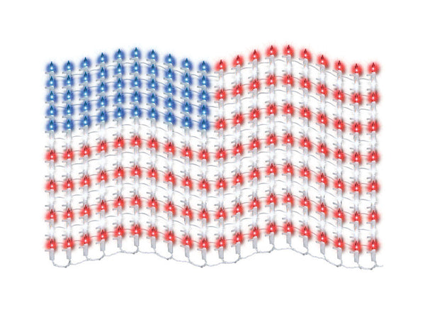 MESH FLAG W/ SPARKL STAR