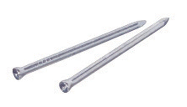 HILLMAN 2-1/2 in. Trim Bright Steel Nail Flat Head