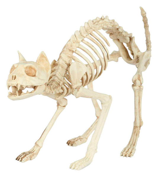 Seasons Cat Skeleton Halloween Decoration 11.25 in. H x 5.75 in. W 1 pk