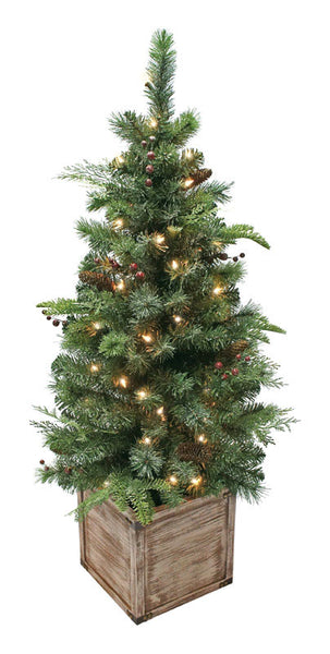 Porch Tree Woodland 4ft